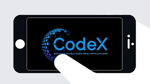 Codex获1580万美元融资，重构企业级稳定币支付基础设施